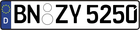 BN-ZY5250