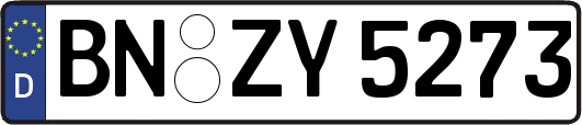 BN-ZY5273