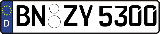 BN-ZY5300