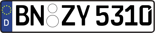 BN-ZY5310