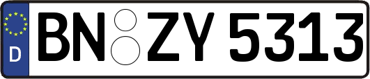 BN-ZY5313