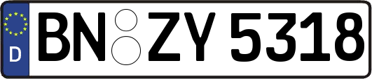 BN-ZY5318