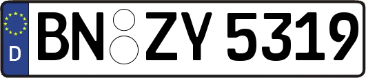 BN-ZY5319