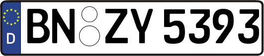 BN-ZY5393