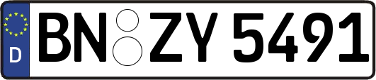 BN-ZY5491