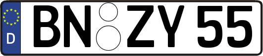 BN-ZY55