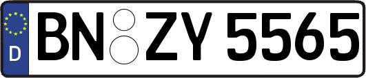 BN-ZY5565