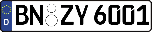 BN-ZY6001