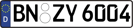 BN-ZY6004