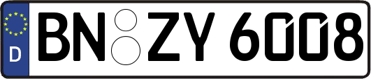 BN-ZY6008
