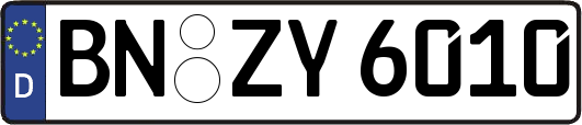 BN-ZY6010