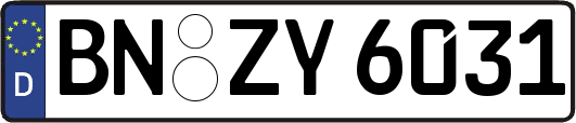 BN-ZY6031
