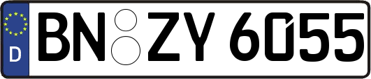 BN-ZY6055