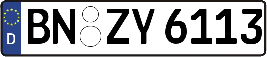 BN-ZY6113