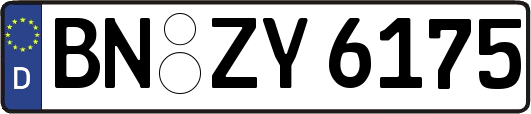 BN-ZY6175