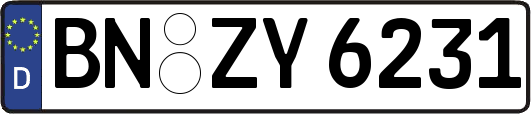 BN-ZY6231