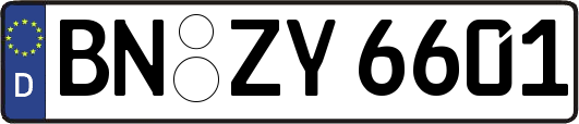BN-ZY6601