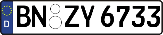 BN-ZY6733