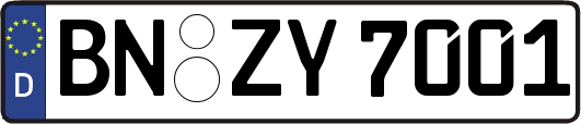 BN-ZY7001