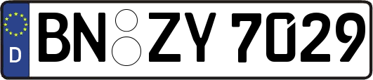 BN-ZY7029