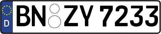 BN-ZY7233