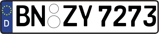 BN-ZY7273