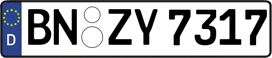BN-ZY7317