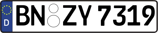 BN-ZY7319