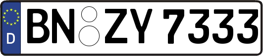 BN-ZY7333