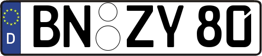 BN-ZY80