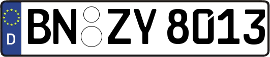 BN-ZY8013