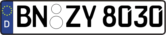 BN-ZY8030