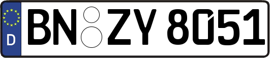 BN-ZY8051