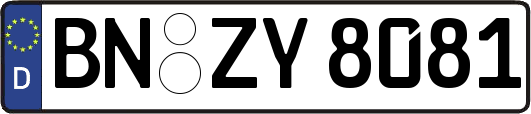 BN-ZY8081