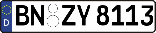 BN-ZY8113