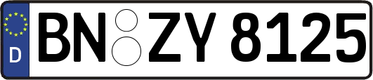 BN-ZY8125