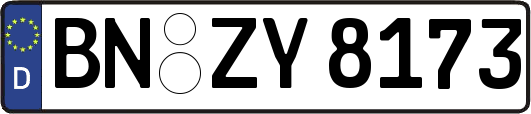 BN-ZY8173