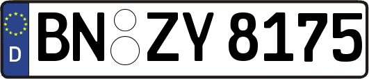 BN-ZY8175