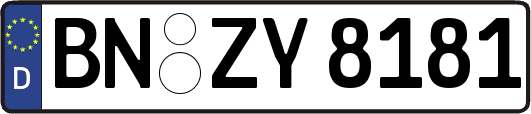 BN-ZY8181