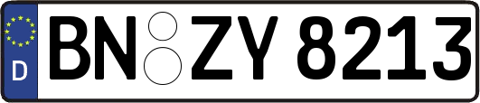 BN-ZY8213