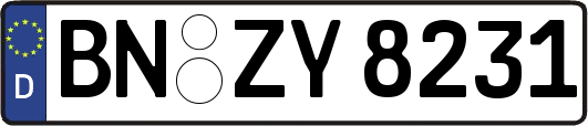 BN-ZY8231