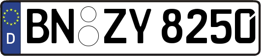 BN-ZY8250
