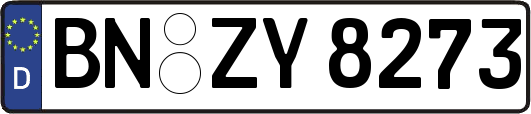 BN-ZY8273