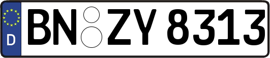 BN-ZY8313