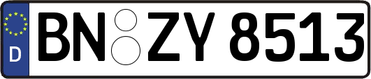 BN-ZY8513