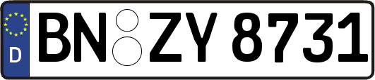 BN-ZY8731