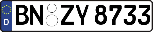 BN-ZY8733