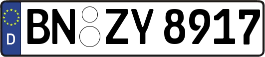 BN-ZY8917