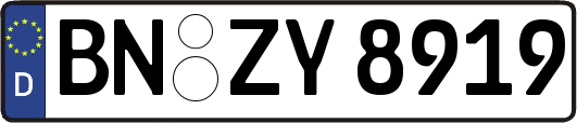 BN-ZY8919