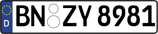 BN-ZY8981